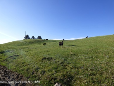 The 2,238 deeded acre ranch is located about 8 miles NW of - photo 49