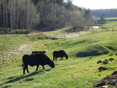 The 2,238 deeded acre ranch is located about 8 miles NW of - photo 50