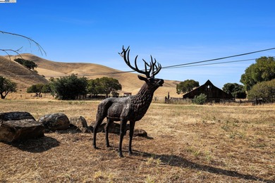 An Opportunity not to be missed. Riley Ranch, a 502 acre, 5 - photo 53