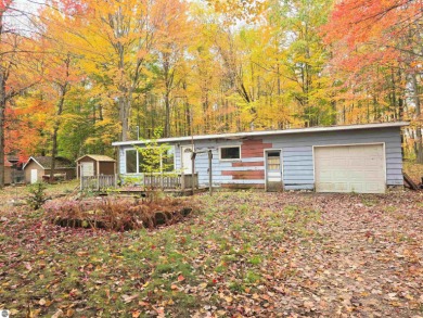 Lake Home For Sale in Cadillac, Michigan