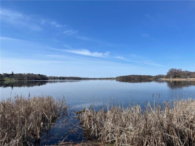 Fannie Lake Acreage For Sale in Cambridge Minnesota