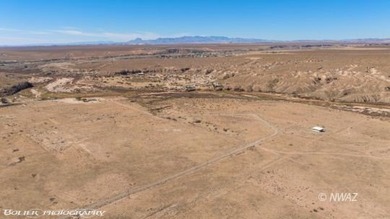 Prime Development Opportunity, Discover this expansive 42+ acre - photo 21