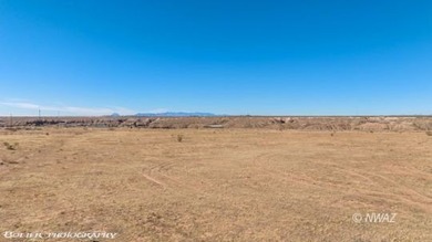 Prime Development Opportunity, Discover this expansive 42+ acre - photo 26