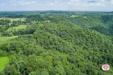 Dale Hollow Lake Acreage For Sale in Byrdstown Tennessee