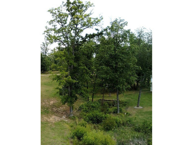Additional listing photo 4