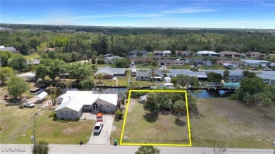 Boater's Dream in Paradise - Waterfront Lot in Peace River! ??? - photo 3