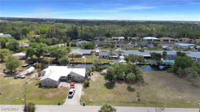 Boater's Dream in Paradise - Waterfront Lot in Peace River! ??? - photo 4
