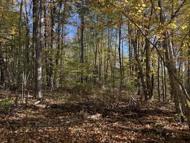 Very peaceful area to build a seasonal or year round home. Power - photo 4