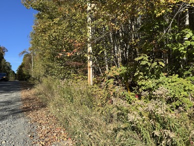 Very peaceful area to build a seasonal or year round home. Power - photo 5