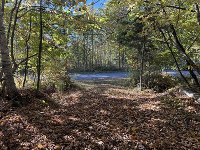Very peaceful area to build a seasonal or year round home. Power - photo 7