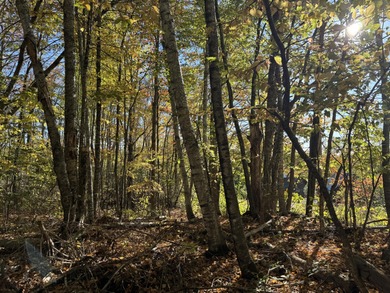 Very peaceful area to build a seasonal or year round home. Power - photo 8