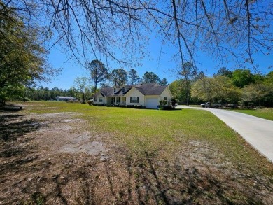 (private lake, pond, creek) Home For Sale in Homerville Georgia