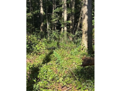 Lake Acreage For Sale in Jefferson, Georgia