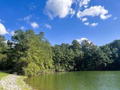 Lake Lot For Sale in Lumberton, Mississippi