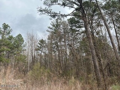 (private lake, pond, coastal) Acreage For Sale in Woodville Mississippi