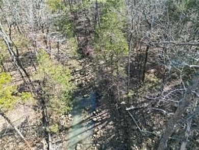Blue Mountain Lake  Acreage For Sale in Havana Arkansas
