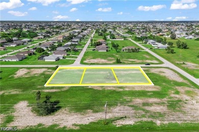 Rare Opportunity - 3 Adjacent Lots in NW Cape Coral! Seize this - photo 11