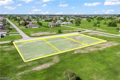 Rare Opportunity - 3 Adjacent Lots in NW Cape Coral! Seize this - photo 12