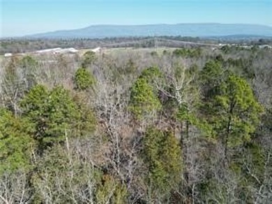 Tucked deep in the Arkansas countryside, this 12.84-acre retreat - photo 3