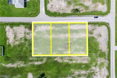 Rare Opportunity - 3 Adjacent Lots in NW Cape Coral! Seize this - photo 13