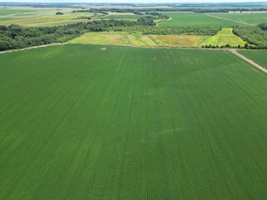 655 acres of production ag land with duck and deer opportunities - photo 4