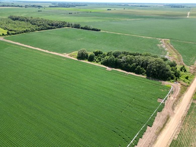 655 acres of production ag land with duck and deer opportunities - photo 5