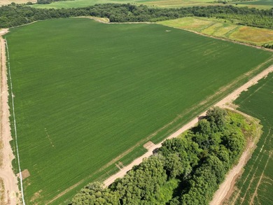 655 acres of production ag land with duck and deer opportunities - photo 8