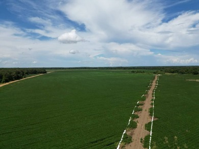 655 acres of production ag land with duck and deer opportunities - photo 9