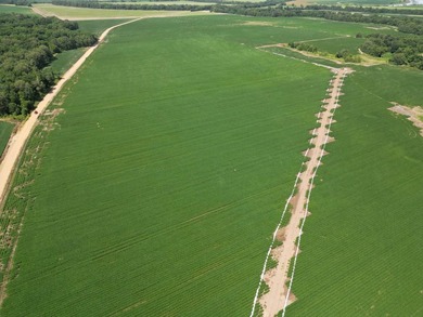 655 acres of production ag land with duck and deer opportunities - photo 10