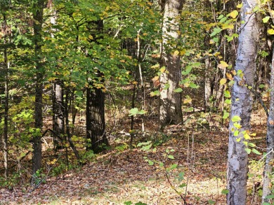 Lake Acreage For Sale in Brownville, Maine