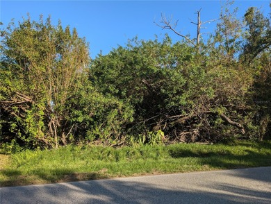 Port Charlotte Waterway Area Lot For Sale in Port Charlotte Florida