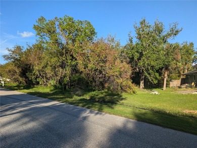 This oversized .39-acre buildable lot offers generous space and - photo 3
