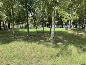 Lake Lot Off Market in Pittsburg, Texas