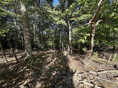 Prime lot in the exclusive Land's End (Rush Ridge) community - photo 3