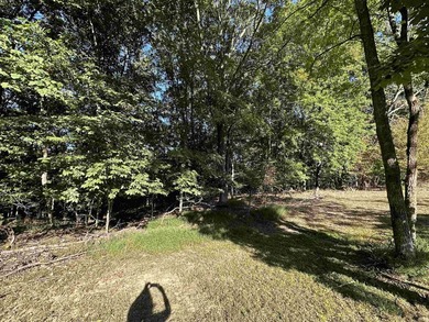 Prime lot in the exclusive Land's End (Rush Ridge) community - photo 6