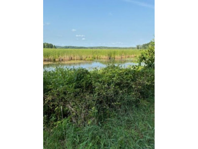 Lake Lot For Sale in Rodney, Michigan