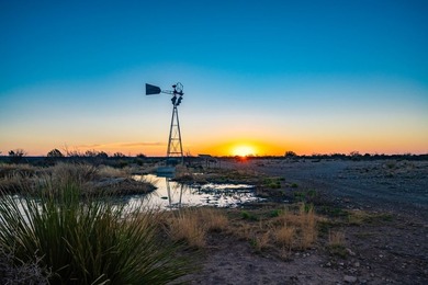 Located 1.5 miles south of Pandale in northwestern Val Verde - photo 14