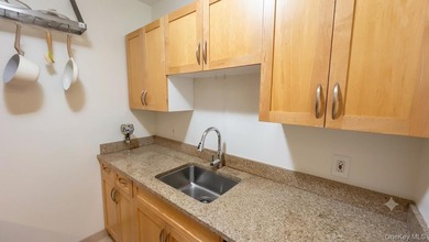 250 East 30th Street, Unit 5A | The Sycamore 2 Bedrooms | 2 Full - photo 16