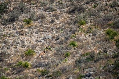 Located 1.5 miles south of Pandale in northwestern Val Verde - photo 20