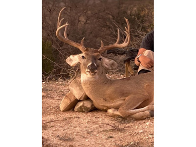 Located 1.5 miles south of Pandale in northwestern Val Verde - photo 22