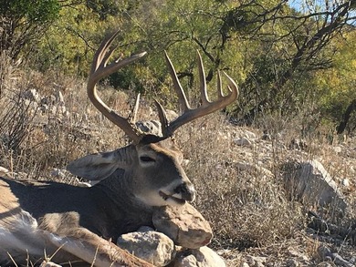 Located 1.5 miles south of Pandale in northwestern Val Verde - photo 24