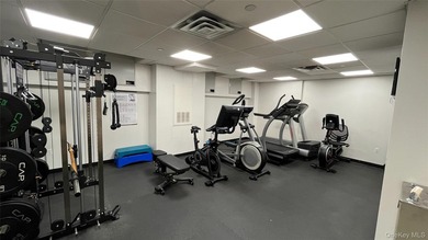 250 East 30th Street, Unit 5A | The Sycamore 2 Bedrooms | 2 Full - photo 24