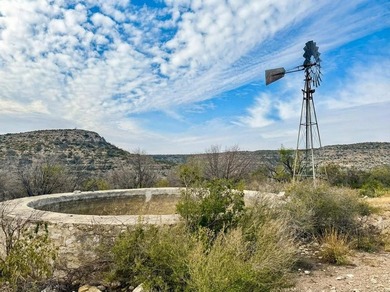 Located 1.5 miles south of Pandale in northwestern Val Verde - photo 29