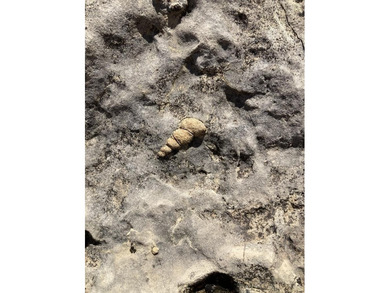Located 1.5 miles south of Pandale in northwestern Val Verde - photo 30