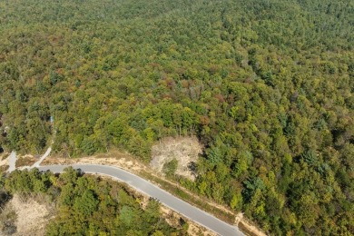 (private lake, pond, creek) Acreage For Sale in Jamestown Tennessee