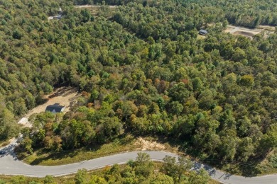 (private lake, pond, creek) Acreage For Sale in Jamestown Tennessee