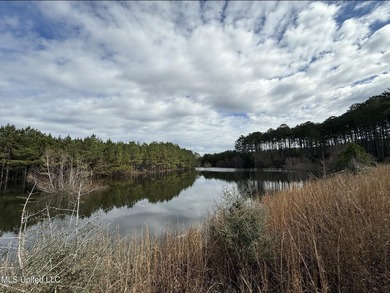 (private lake, pond, coastal) Acreage For Sale in Carson Mississippi