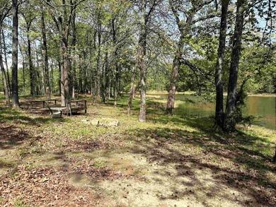 6921 Ar Hwy 13, Carlisle features a 2 Br, 1 Bath Home on 13.63 - photo 20