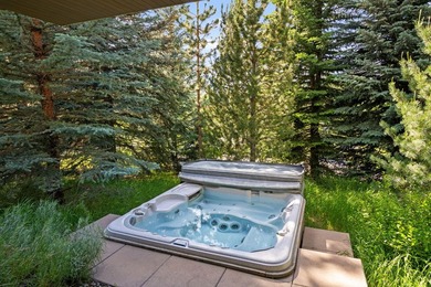 Experience luxury mountain living in this stunning Ketchum home - photo 26