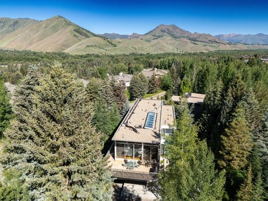 Experience luxury mountain living in this stunning Ketchum home - photo 36